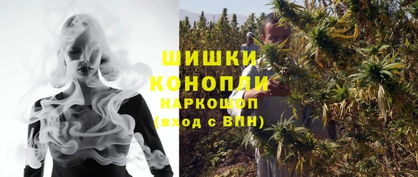 молекула духа Бикин