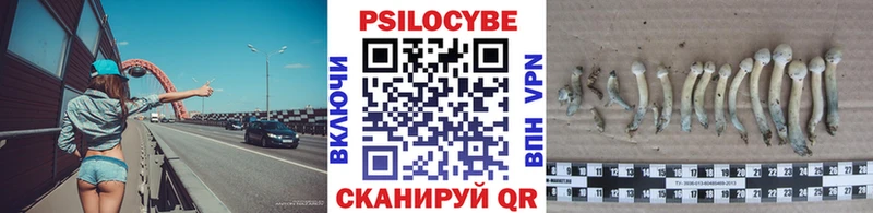 как найти закладки  Кукмор  Галлюциногенные грибы ЛСД 
